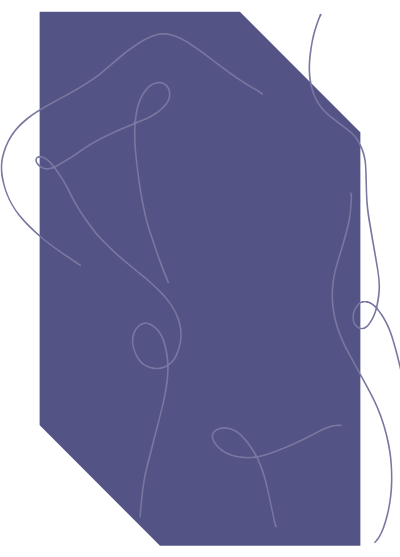 Enriquecimiento sexual Consexuar