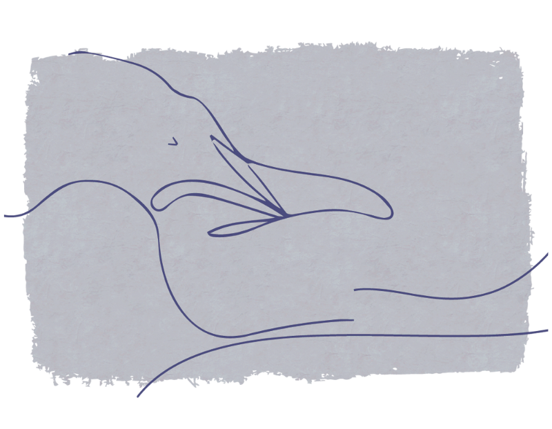 Consexuar Terapia Sexualidad